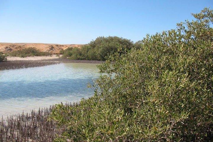 Excursión de medio día en autobús al Parque Nacional Ras Mohamed desde Sharm El Sheikh