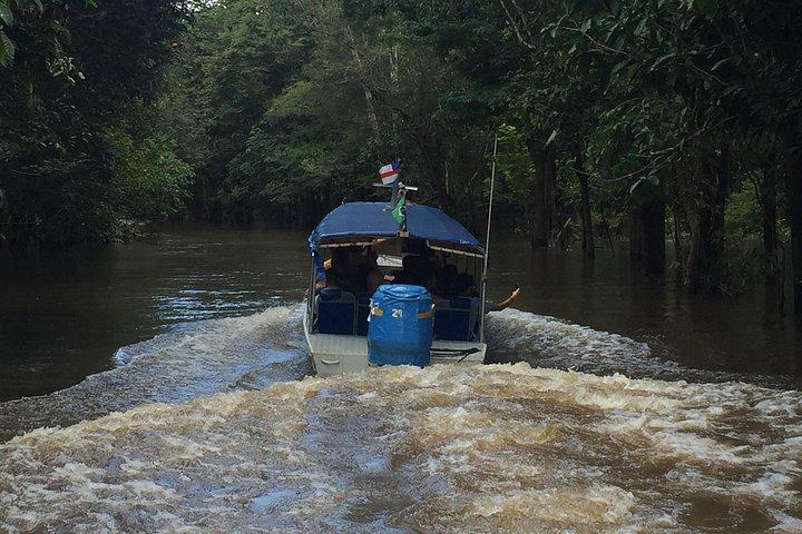 City Tour Plus Amazon River Tour