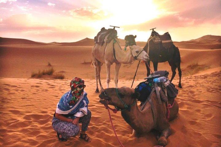 Viaje de 2 días al desierto del Sahara desde Fez Regreso a Fez Todo incluido