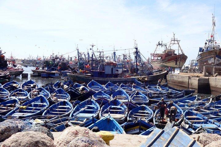 Dagtur fra Marrakech til Essaouira