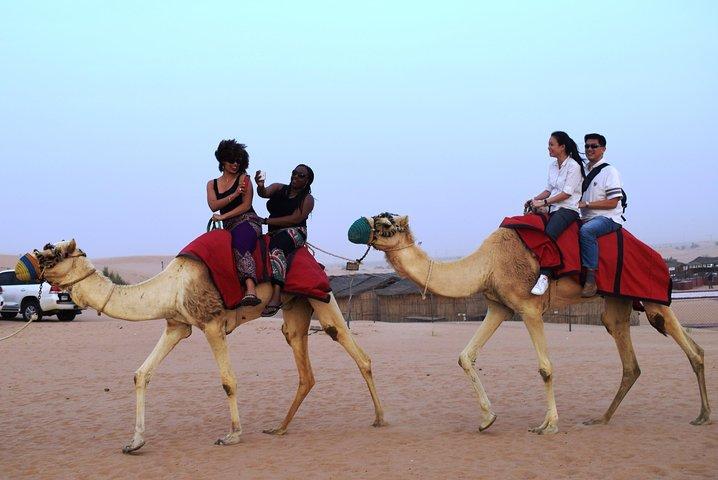 Premium Dubai Desert Safari med BBQ middag i de røde dune
