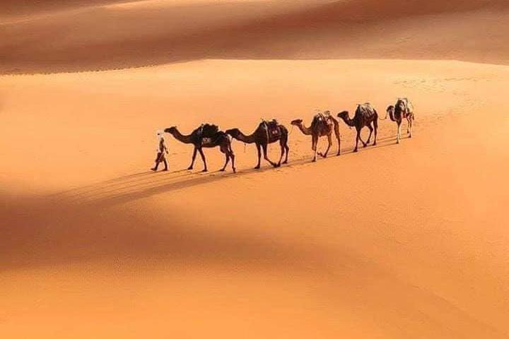 6 jours d'excursion dans le désert nomade - Marrakech> Merzouga> Marrakech