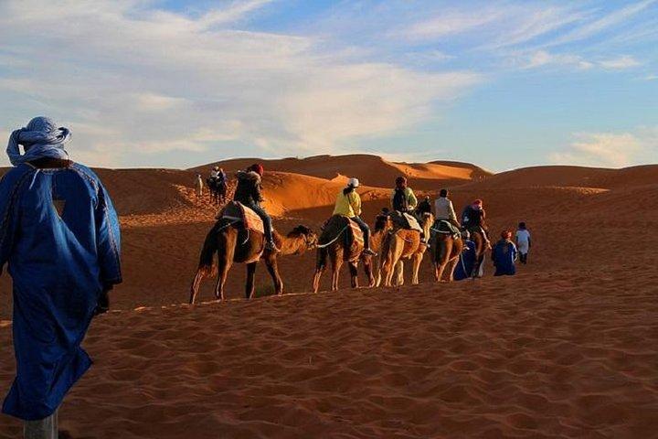 Marrakesh Palm Grove Camel Ride