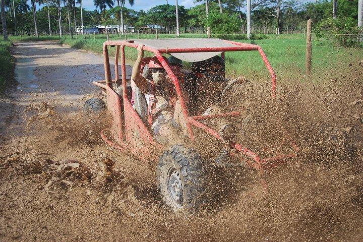 Esperienza di passeggini da Punta Cana