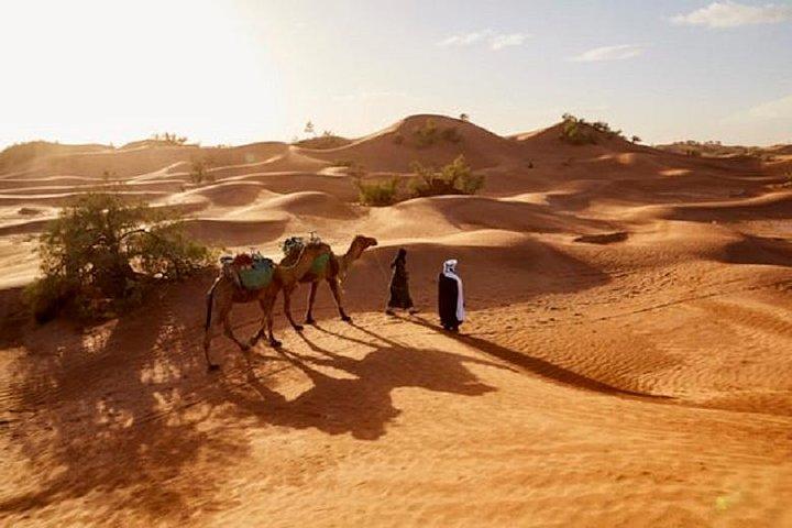 Tour do Deserto Nômade 3 Dias - Marrakech> Zagora> Marrakech