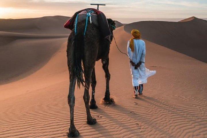Tour do Deserto Nômade 3 Dias - Marrakech> Zagora> Marrakech