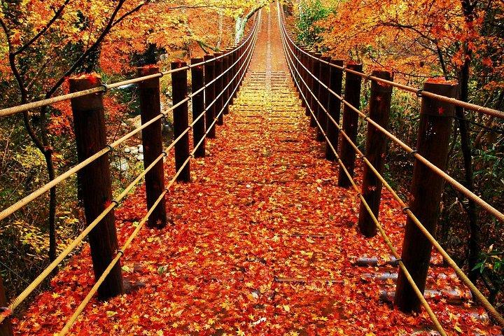 袋田の滝と花貫渓谷の紅葉日帰りツアー