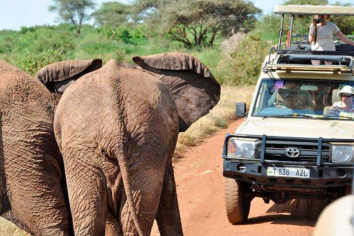 Safari privado de 2 días en el lago Manyara y el Parque Nacional Ngorongoro Crater