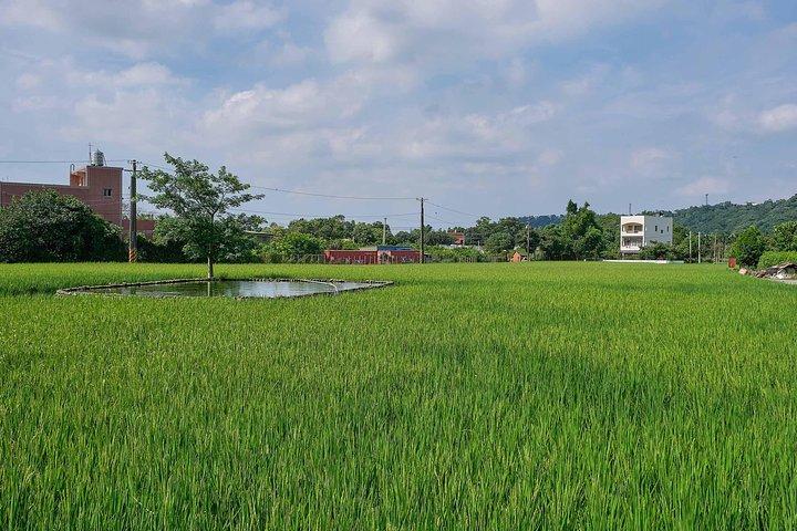 大溪で台湾の郷土豆腐DIY体験