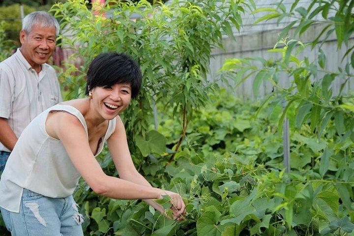 大溪で台湾の郷土豆腐DIY体験