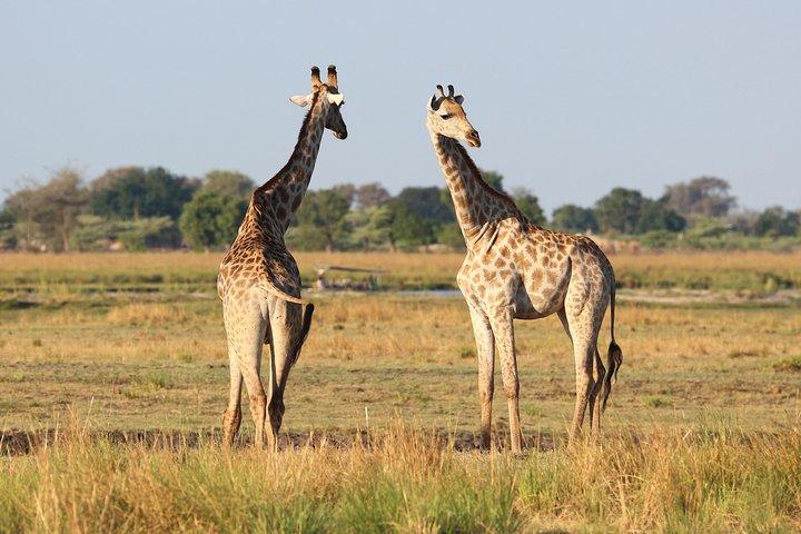 20 dage med kærlighed til Namibia | Guided Lodge