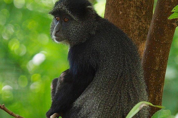 Safari privato di 2 giorni nel cratere di Ngorongoro e nel Tarangire National Park