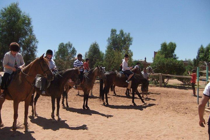 In Marrakesch :Horses ride experience