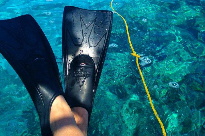 Key West Reef Snorkel & Sail Adventure