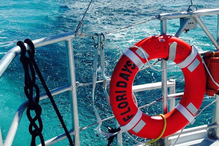 Schnorchel- und Segelabenteuer am Key West Reef