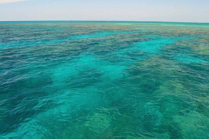 Schnorchel- und Segelabenteuer am Key West Reef