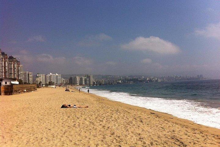 Déjeuner à Cachagua à partir de la visite privée STGO
