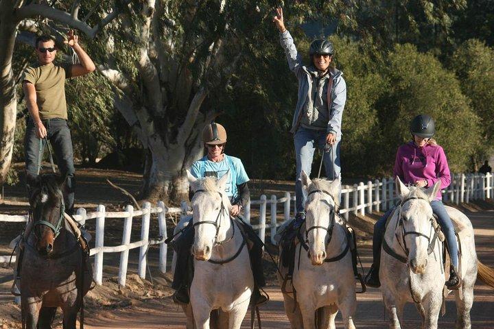 2h – Ruta a caballo