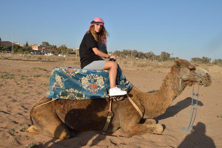 Giro in cammello al tramonto ad Agadir con trasporto, tè e dolci.