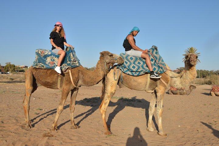 Giro in cammello al tramonto ad Agadir con trasporto, tè e dolci.