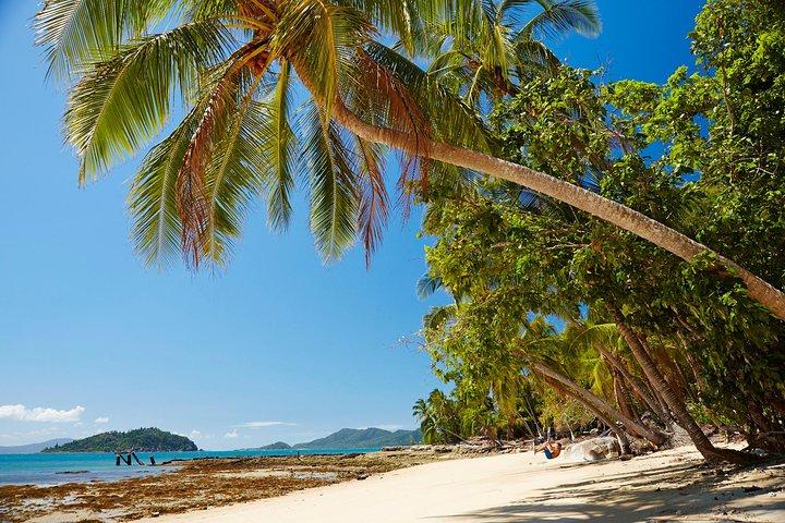 Tour privado de Daintree Wanderer