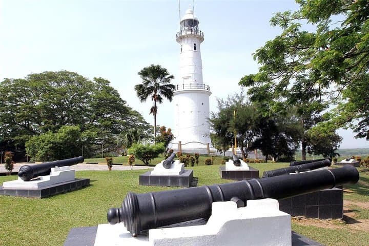 Kuala Selangor Fireflies Tour from Kuala Lumpur