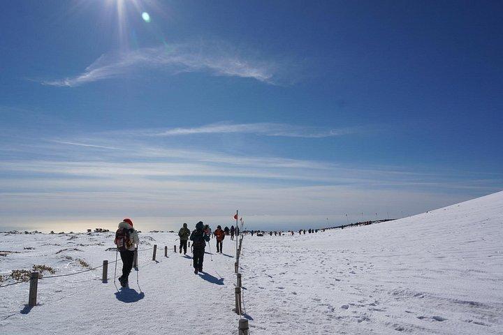 [5-daagse Jeju] Privéwandeling op maat (Hallasan & Olle-cursus) met bergbeklimmer