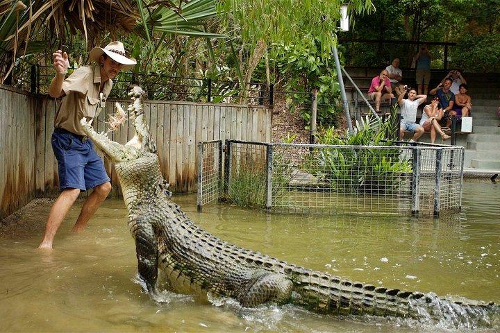 Halbtägige Tour durch Hartley’s Crocodile Adventures ab Cairns