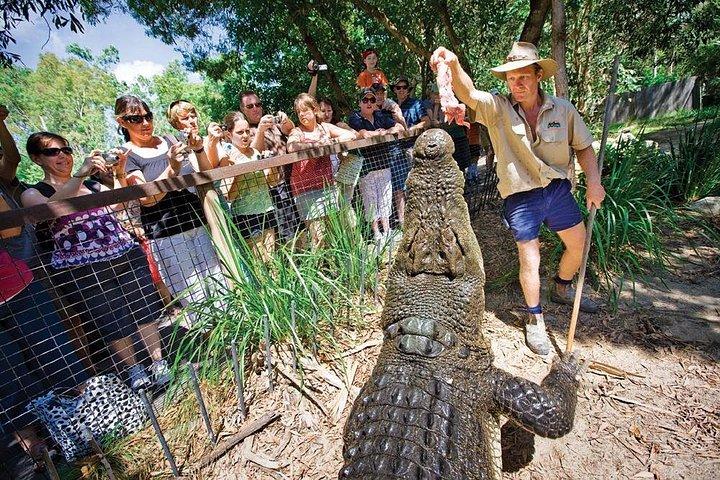 ケアンズ発ハートレーのワニの冒険半日ツアー