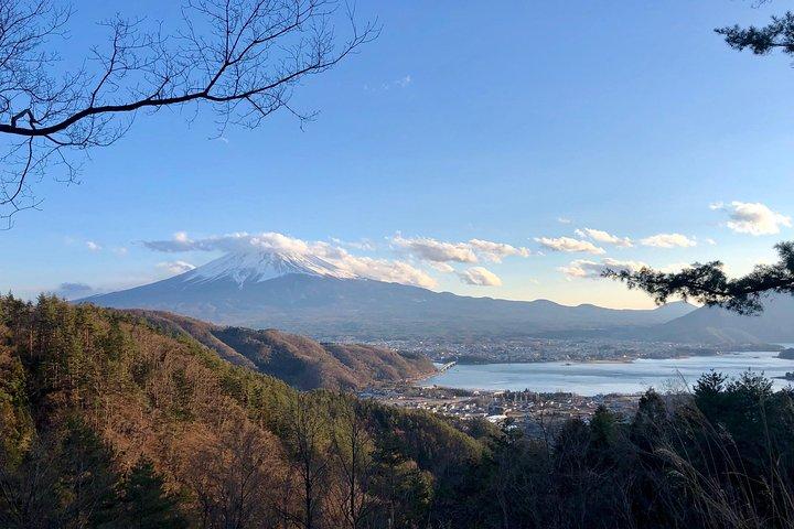 Visites guidées privées de la région du mont Fuji en anglais - La nature de près, calme, personnelle