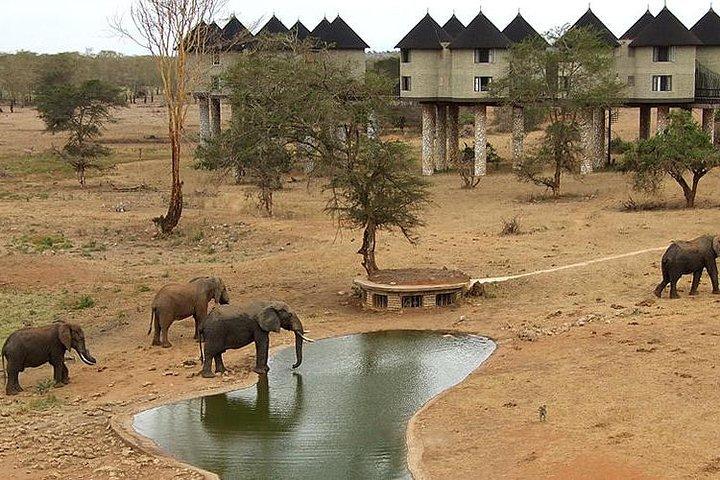 3 dagar 2 nätter Tsavo East Taita Hills Game Sanctuary on Stylts