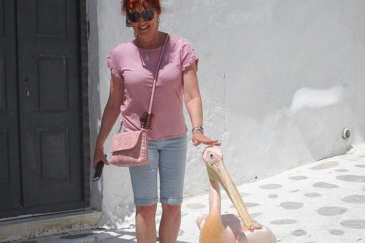 Excursion d'une demi-journée à Mykonos