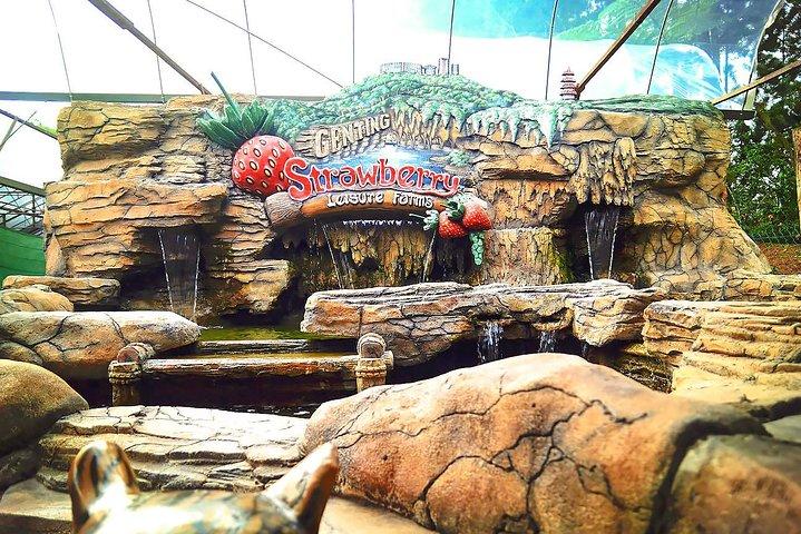 Full-Day Genting Highland Day Trip