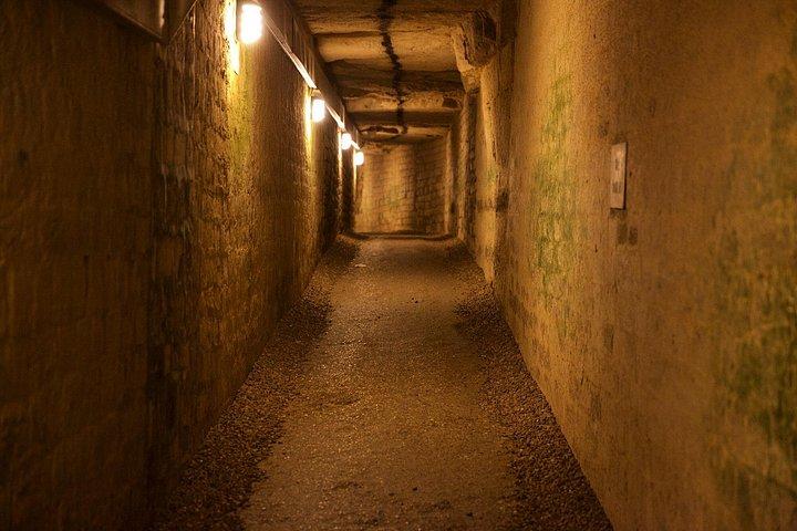 秘密のエリアへの特別アクセス付きパリ地下墓地ガイドツアー