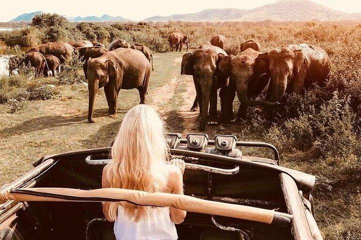 スリランカツアーの旅程。 6N/7D ドライバー、車両、H/B の宿泊施設