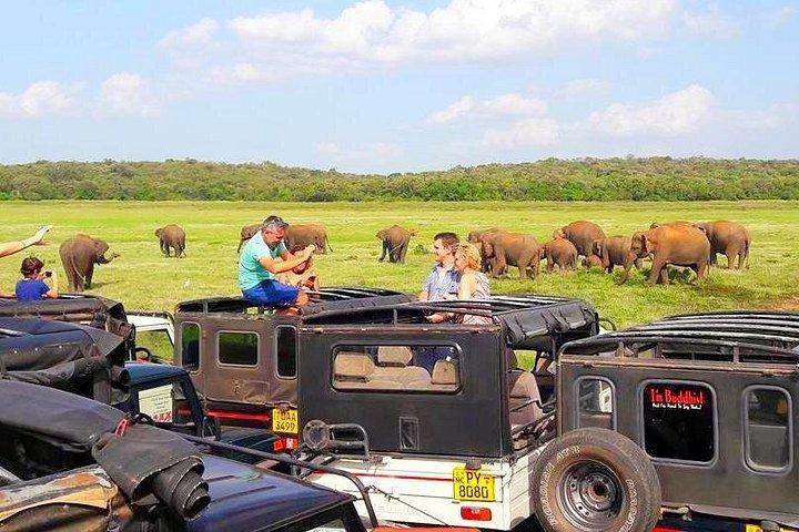 スリランカツアーの旅程。 6N/7D ドライバー、車両、H/B の宿泊施設