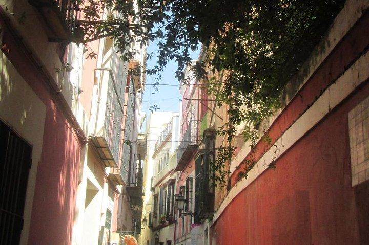 Privérondleiding Kathedraal + Alcazar + Santa Cruz