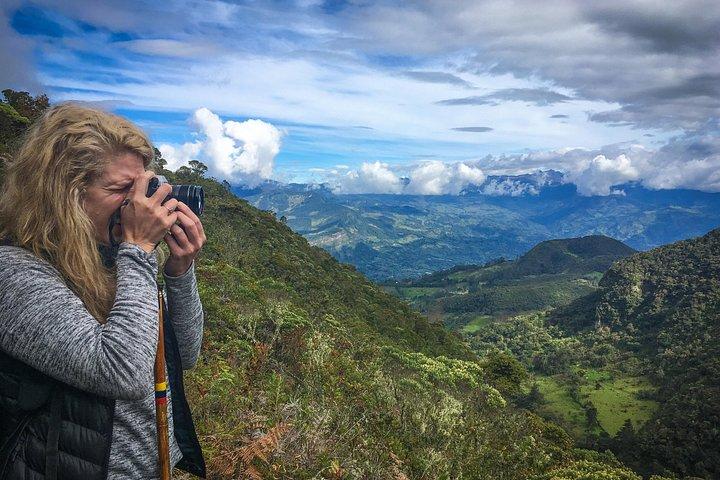 Cloud Forest & Waterfalls Half-Day Hike