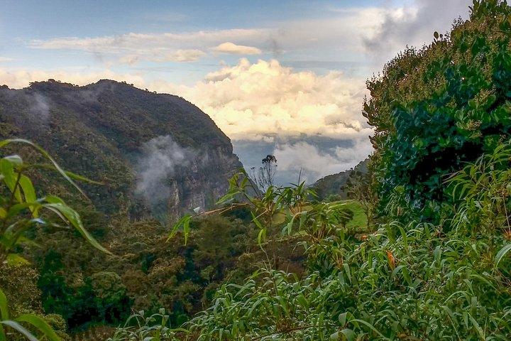 Cloud Forest & Waterfalls Half-Day Hike