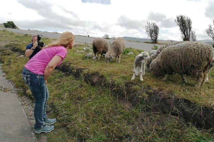 Tour privato di un giorno della laguna di Quilotoa da Quito
