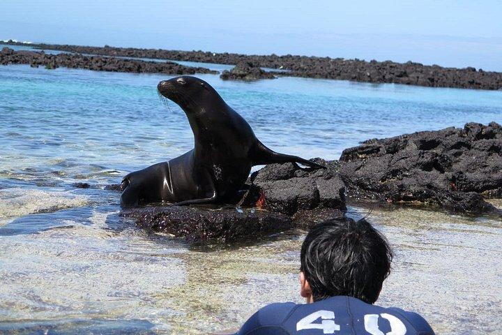 シュノーケリングと釣りを楽しめるピンゾーン島とLaFé/ Palmitas湾への日帰りツアー