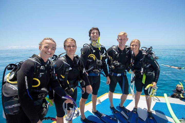 4-tägiger PADI Open Water Tauchkurs - Lerne das Tauchen am Great Barrier Reef