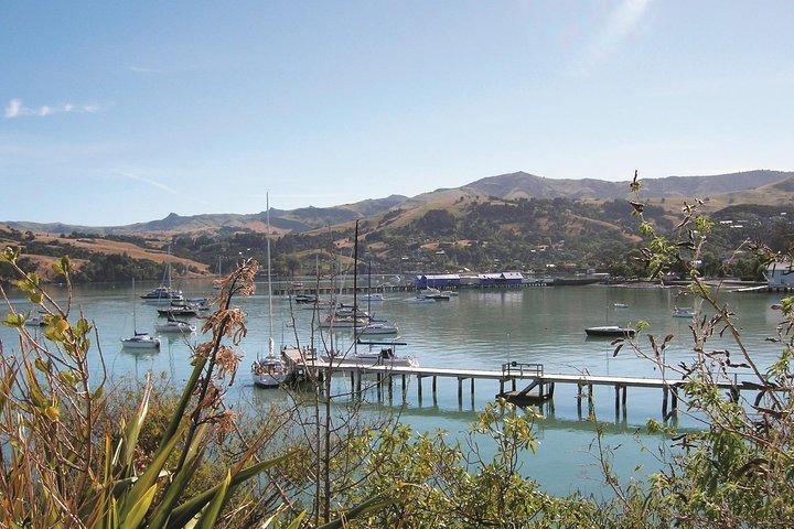 Akaroa Shore Udflugt: Banks Peninsula, Christchurch City Tour og Det Internationale Antarktis Center