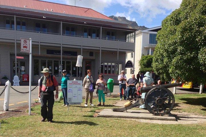 Akaroa Shore Udflugt: Banks Peninsula, Christchurch City Tour og Det Internationale Antarktis Center