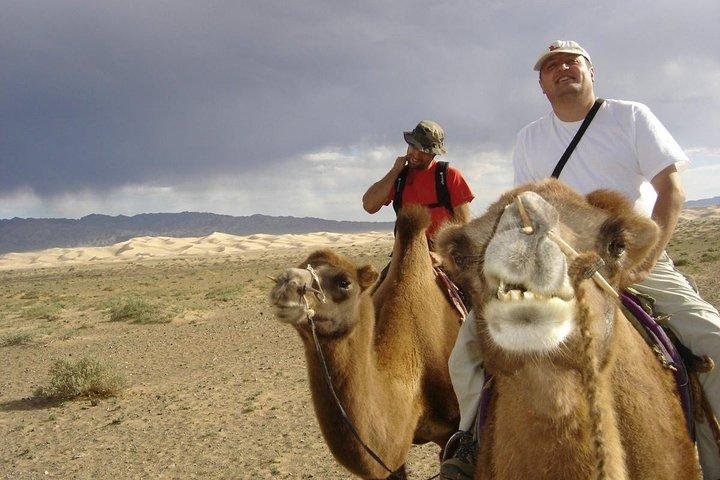 1-dags Semi-Gobi-tur inklusive frokost og gratis kamel + Bonus Khustai National Park