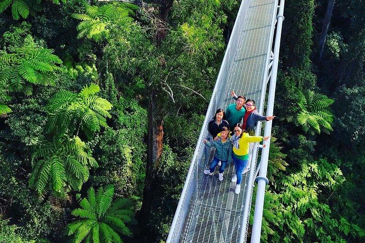 ウェーブ滝とワイナリー一日の南ハイランズプライベートツアー