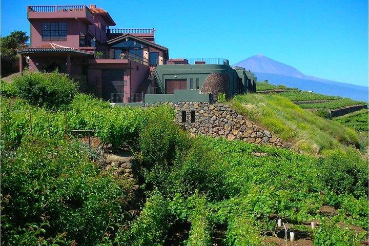 Bodegas Monje Winery Ticket w/Wine Tasting & Mojo Sauce Workshop