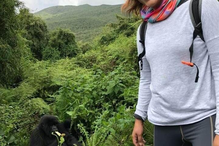 Fra Kigali: 2-dages Rwanda Gorilla Trekking Experience