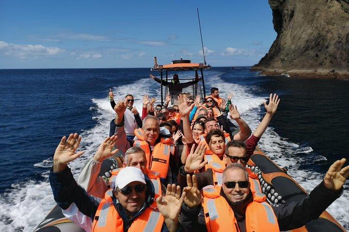 Whale Watching + Island Goats / Water4fun