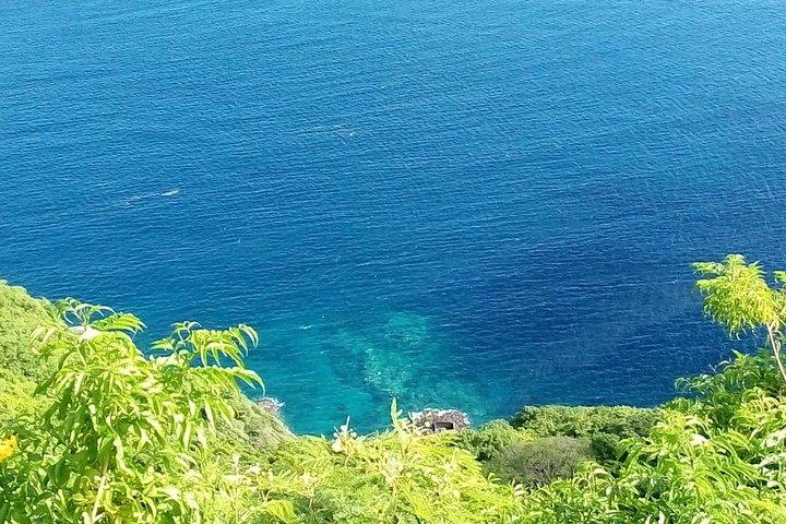 Fort Charlotte, Botanisk Have og Kingstown Tours med Detention Tours